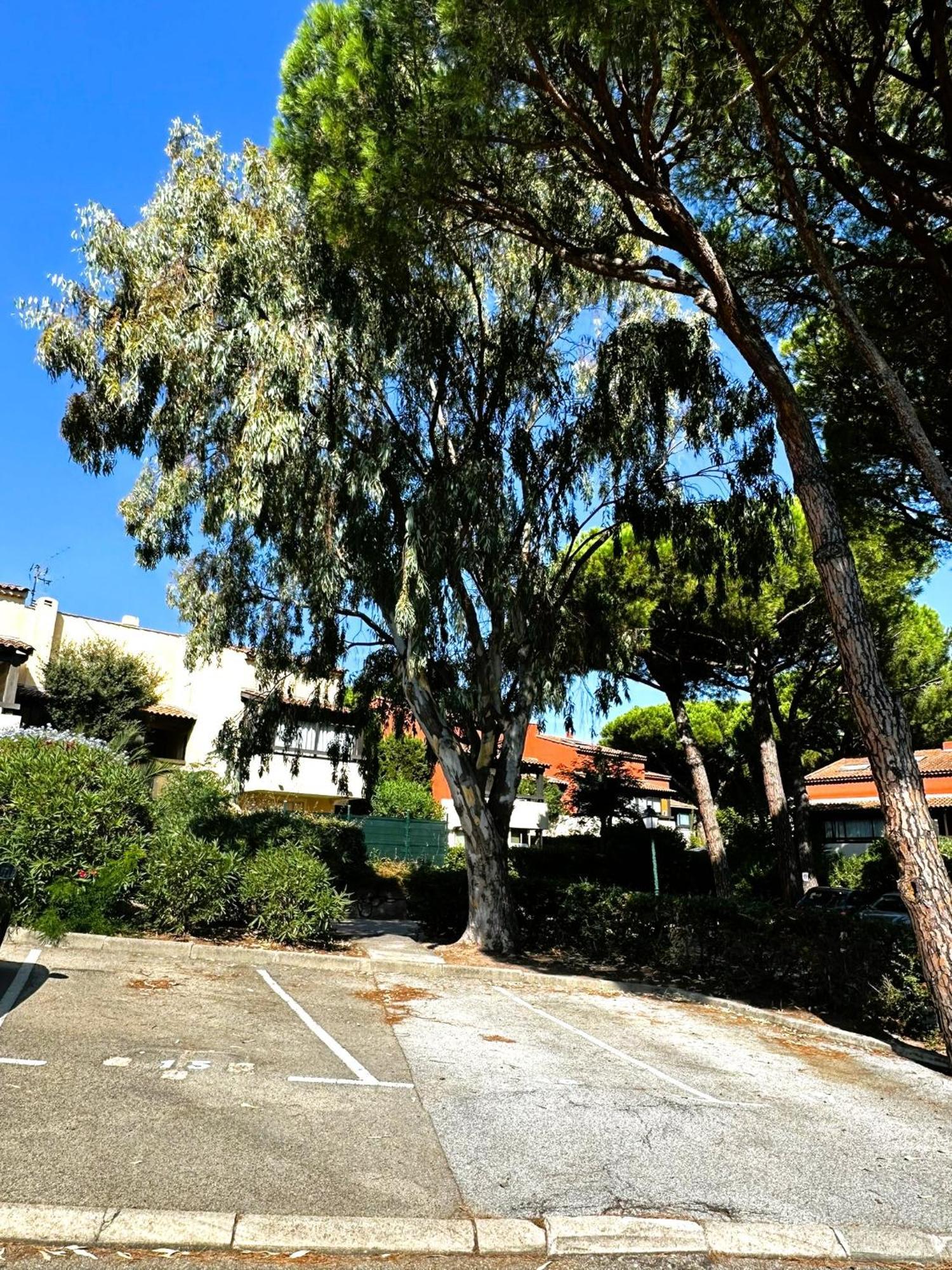 Frejus - Appartement 4 Personnes - Piscine Екстер'єр фото